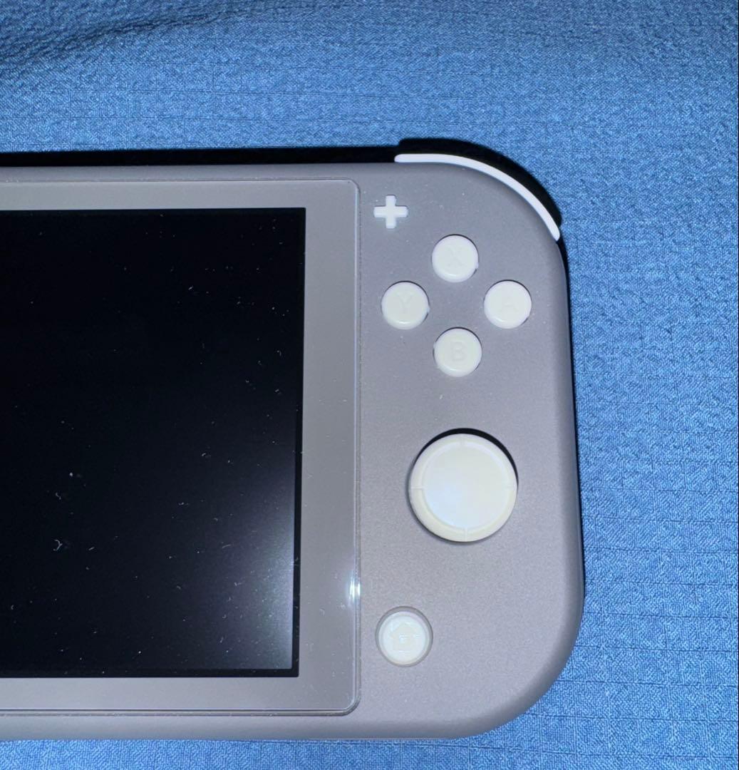 任天堂 Switch Lite スイッチライト グレー 本体 おまけ付