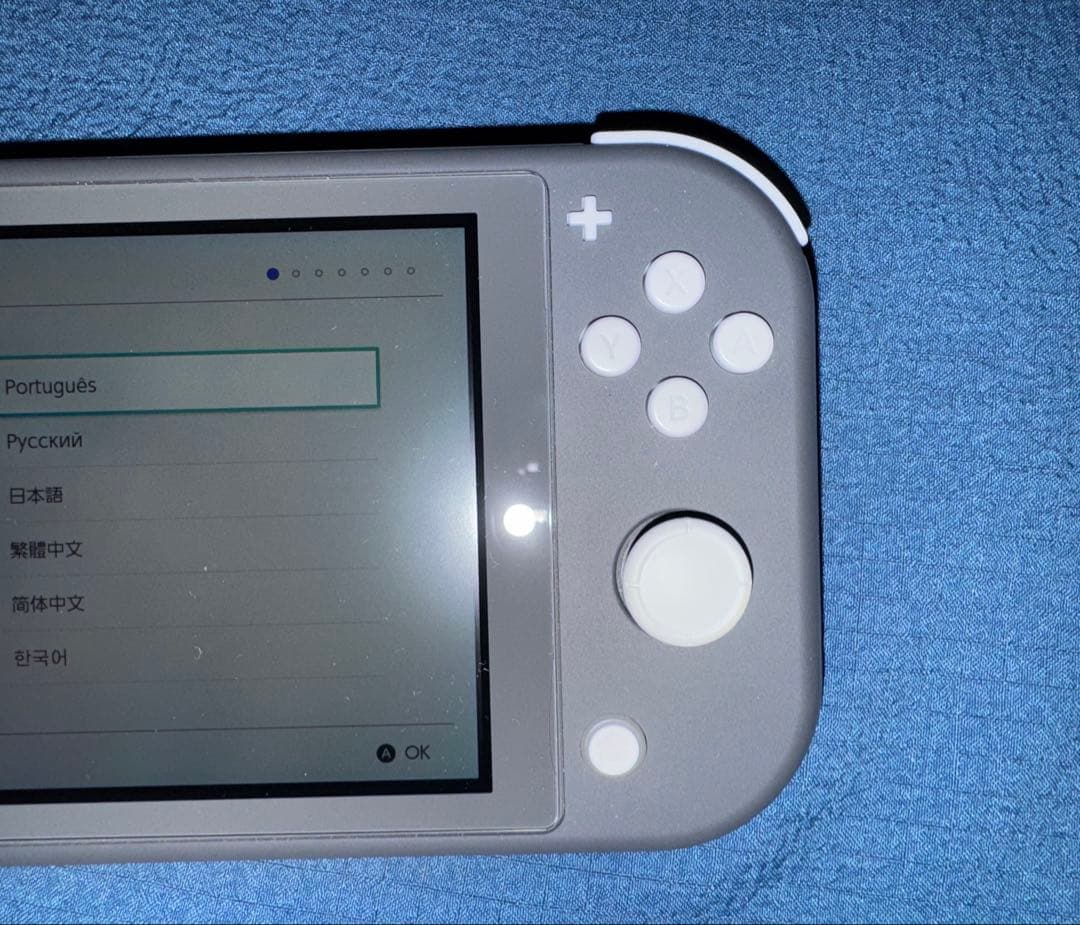 任天堂 Switch Lite スイッチライト グレー 本体 おまけ付