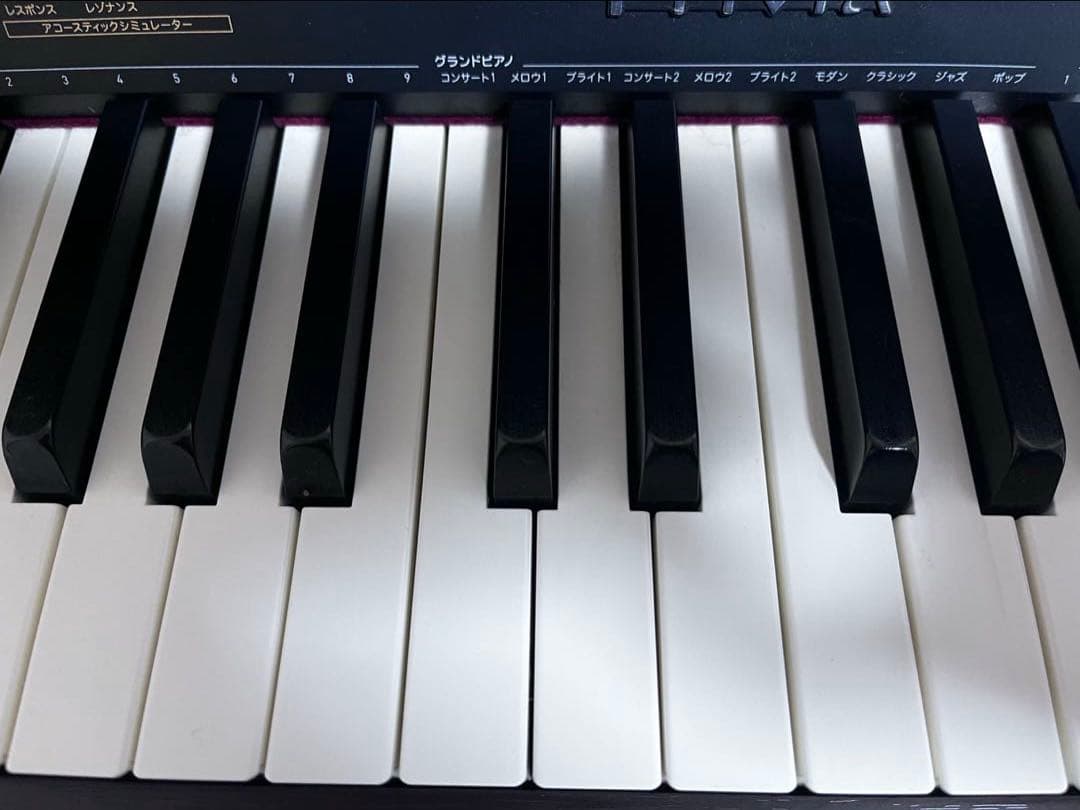 電子ピアノ Ꮲrivia PX-1200GP