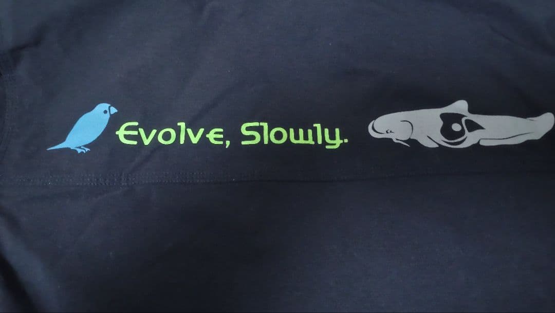 Fin-ch Finch フィッシングジャケット 黒 ウォルフライト