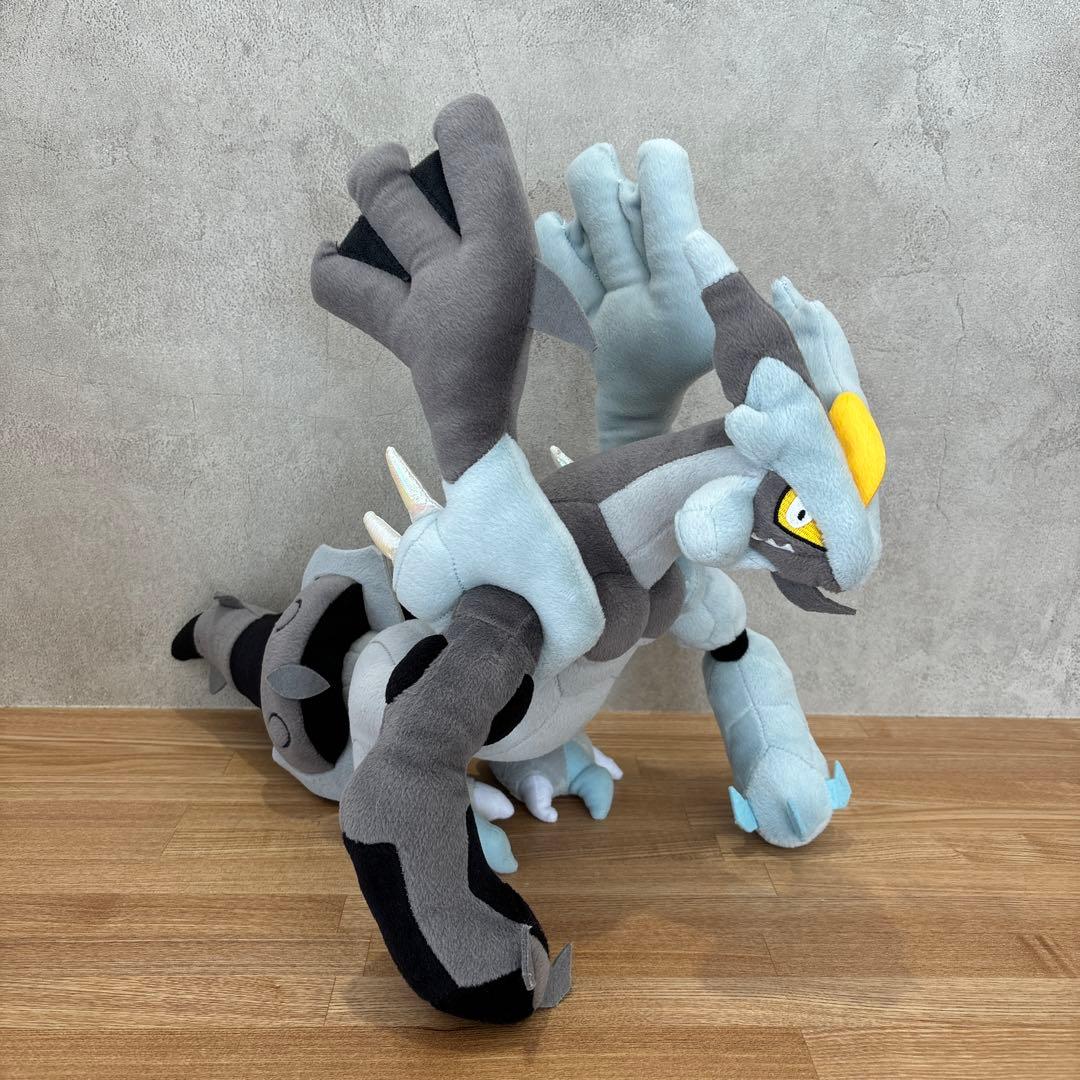 【一点もの/廃盤/2012年】ホワイトキュレム　ブラックキュレム　ポケドール