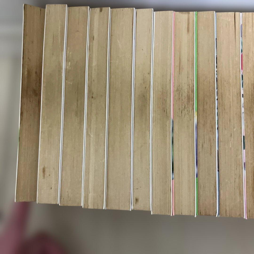 藤本ひとみ　漫画家マリナシリーズ22冊