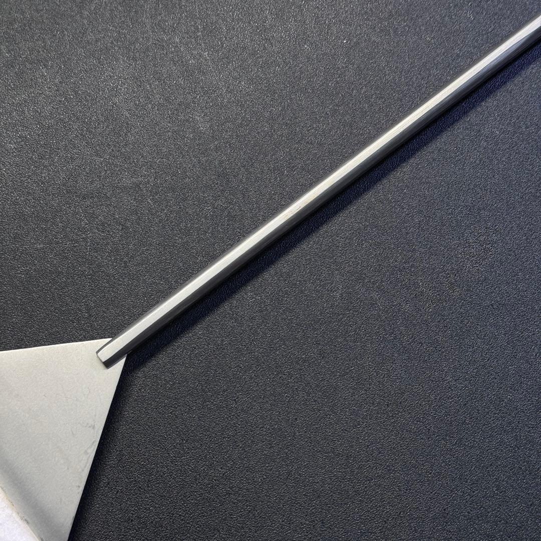 希少 ADA プロレイザー 20周年限定モデル 替え刃2枚付き