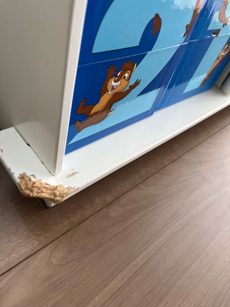 Disney's World of English 絵本セットと知育玩具