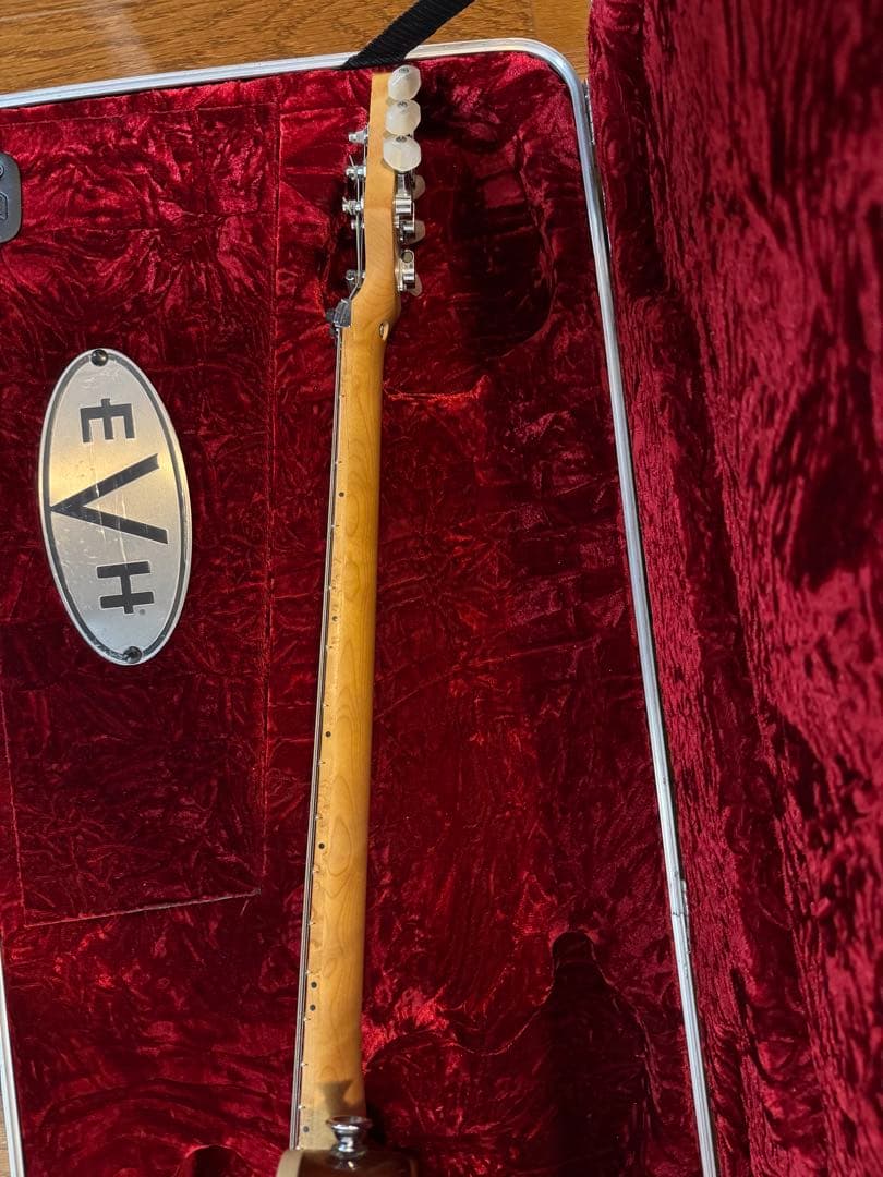 EVH WOLFGANG SPECIAL TBSレフティ