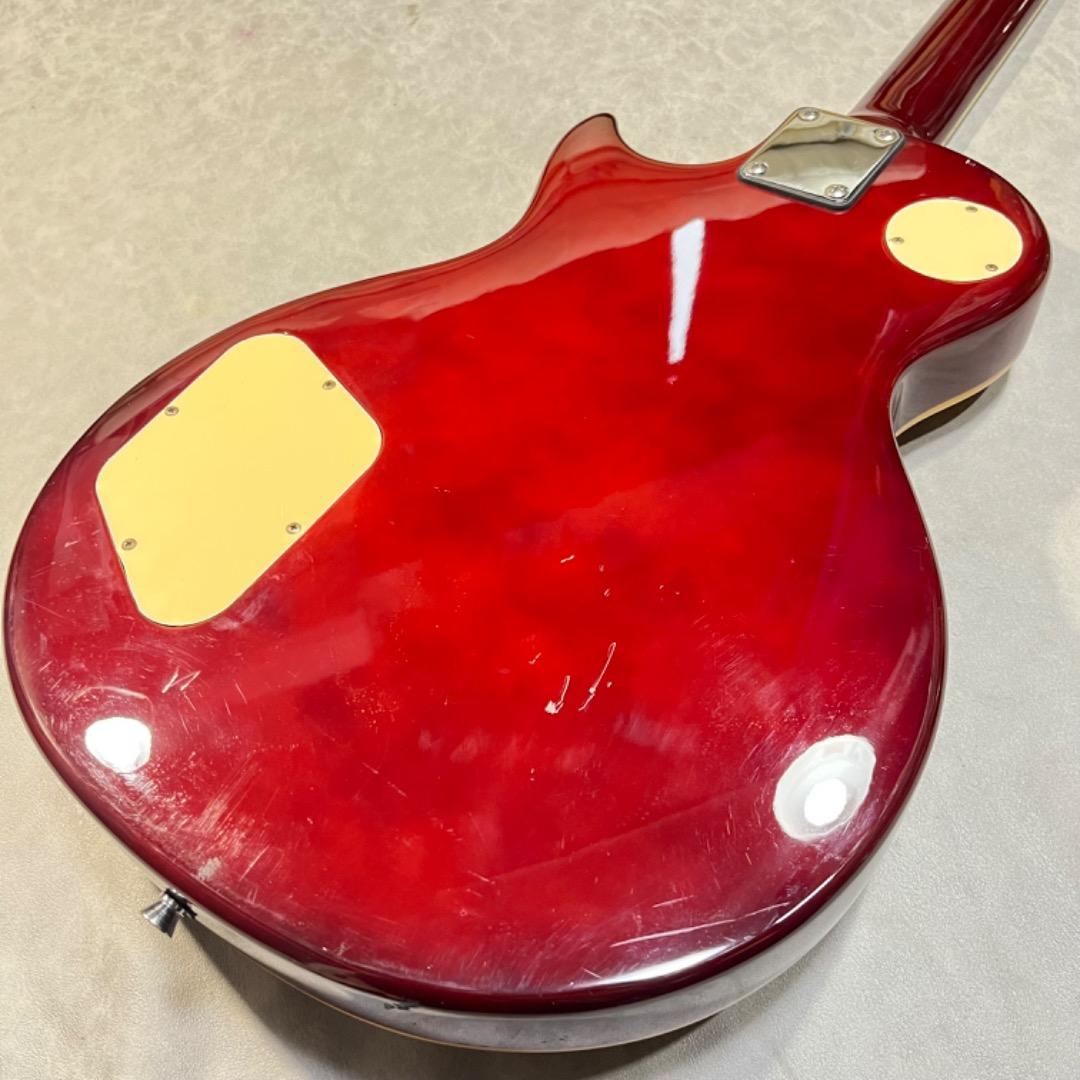 Maestro by Gibson Gold top マエストロ バイ ギブソン