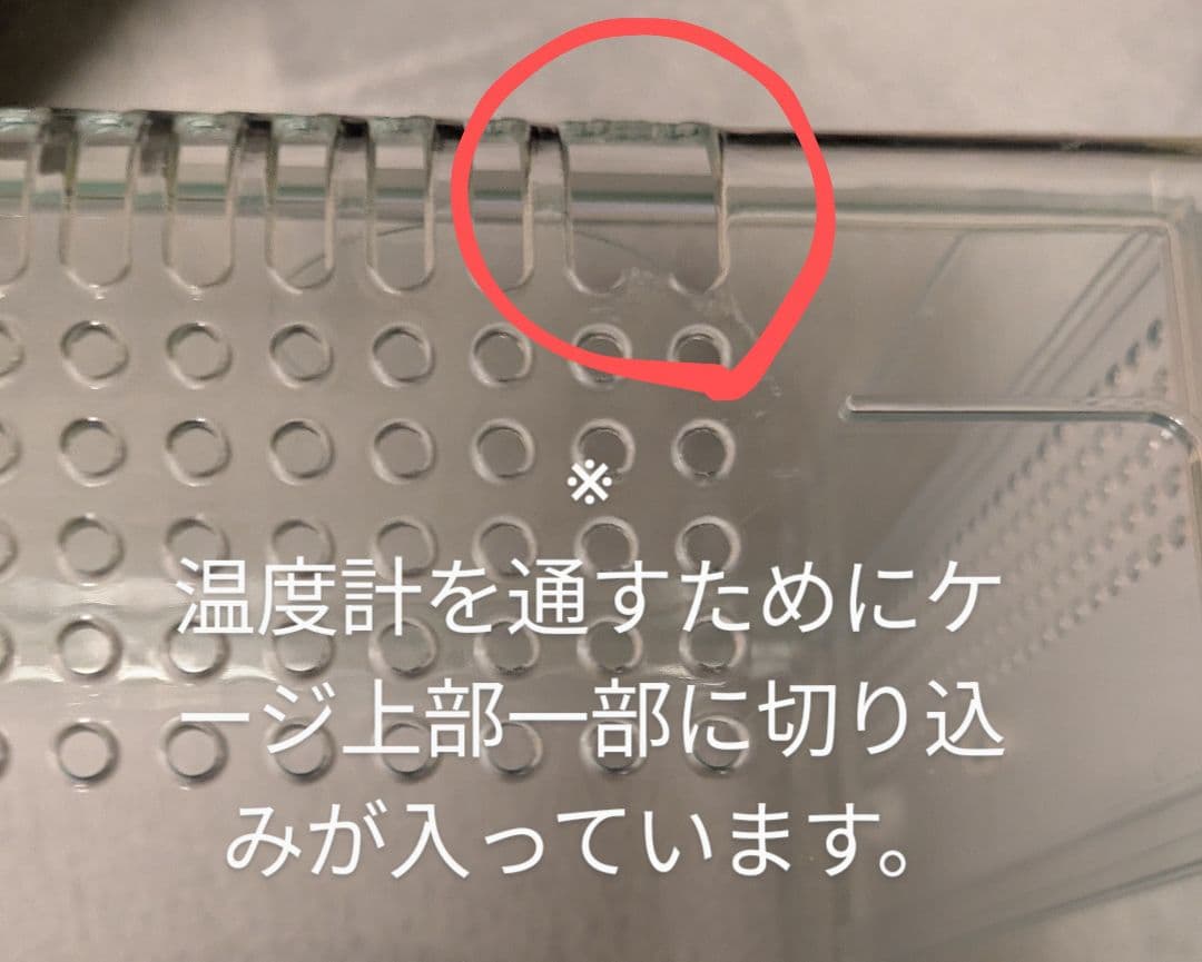 ハムスター飼育セット