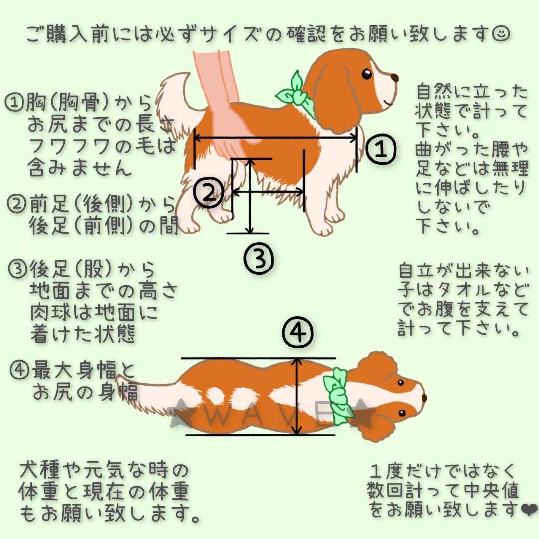 ♡ Co.Ra ♡　犬用車椅子　犬の歩行器　犬の車いす　歩行補助