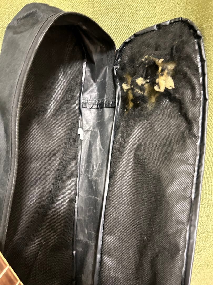 エピフォンレスポールスタンダードプロSTANDARD PRO