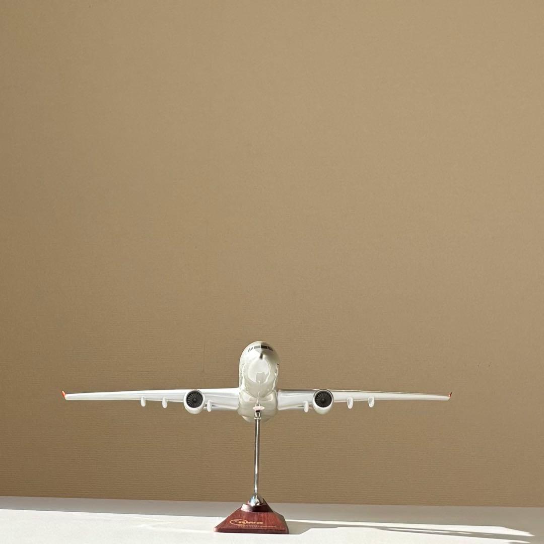 ※SALE※【匿名配送】ノースウエスト 航空機 飛行機 模型 nwa モデル