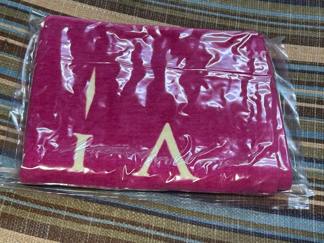 BIG ブロマイド ミニカード GARNiDELiA 美依礼芽 MARiA 他