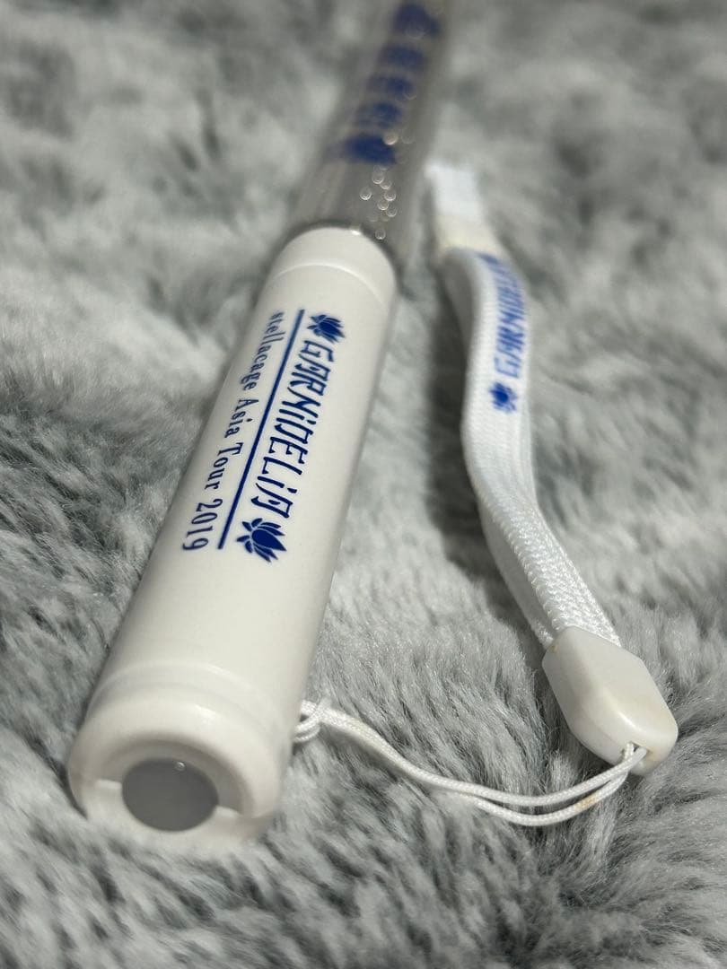 BIG ブロマイド ミニカード GARNiDELiA 美依礼芽 MARiA 他