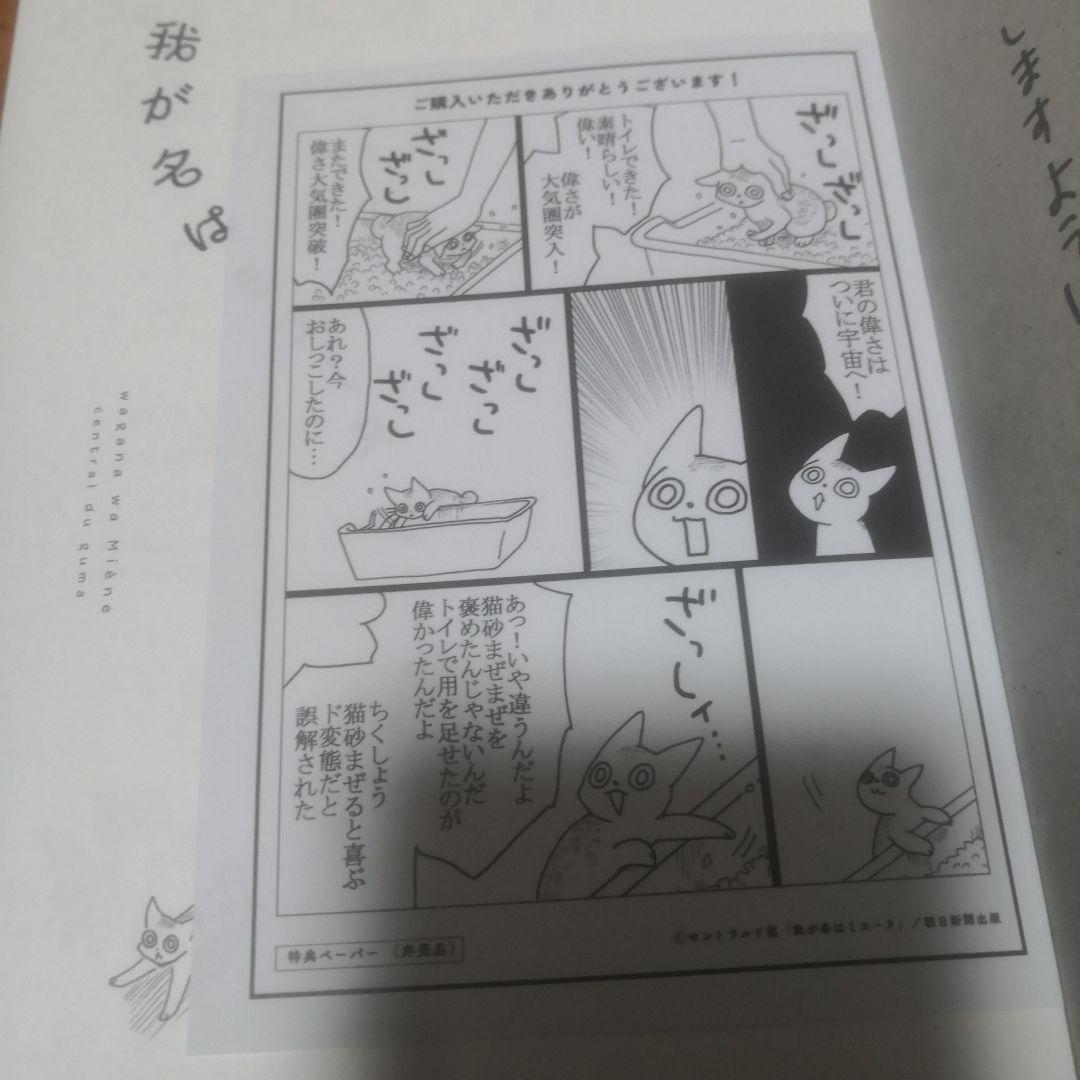 我が名はミエーヌ 直筆イラスト入りサイン本 特典付き セントラルド熊