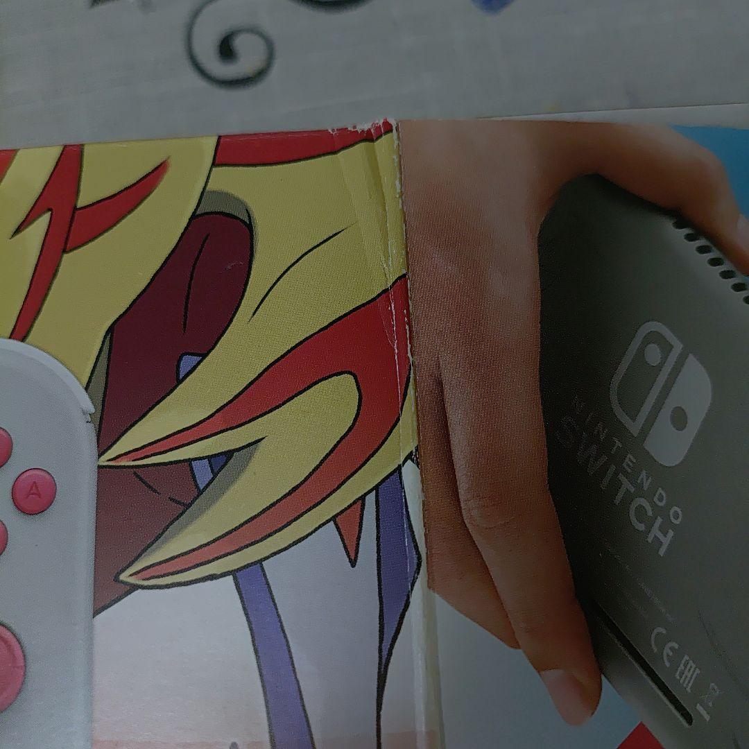 ま*ぐ様 【訳あり】Nintendo Switch Lite ザシアン＆ザマゼン