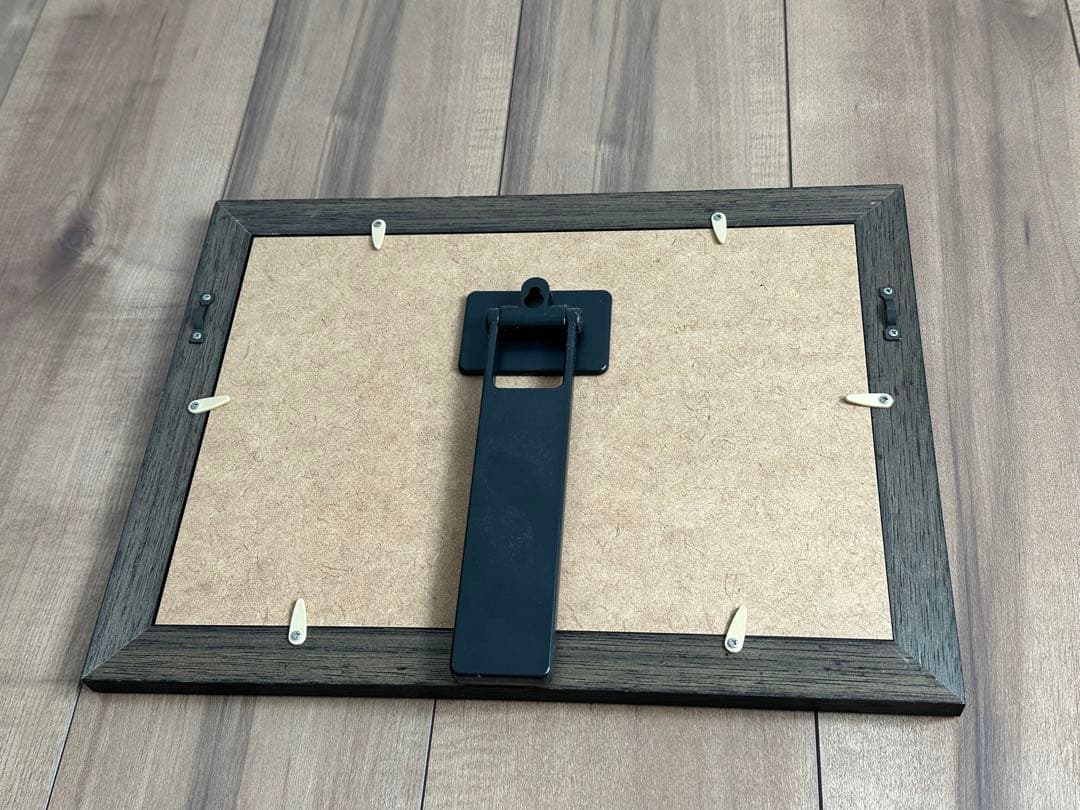 日本ハム　優勝　写真　2016