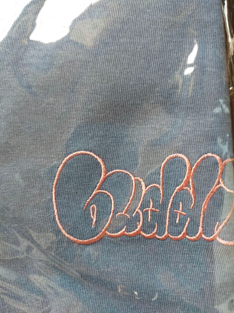 buddix ロゴT　ブルー　Мサイズ　ロングスリーブT