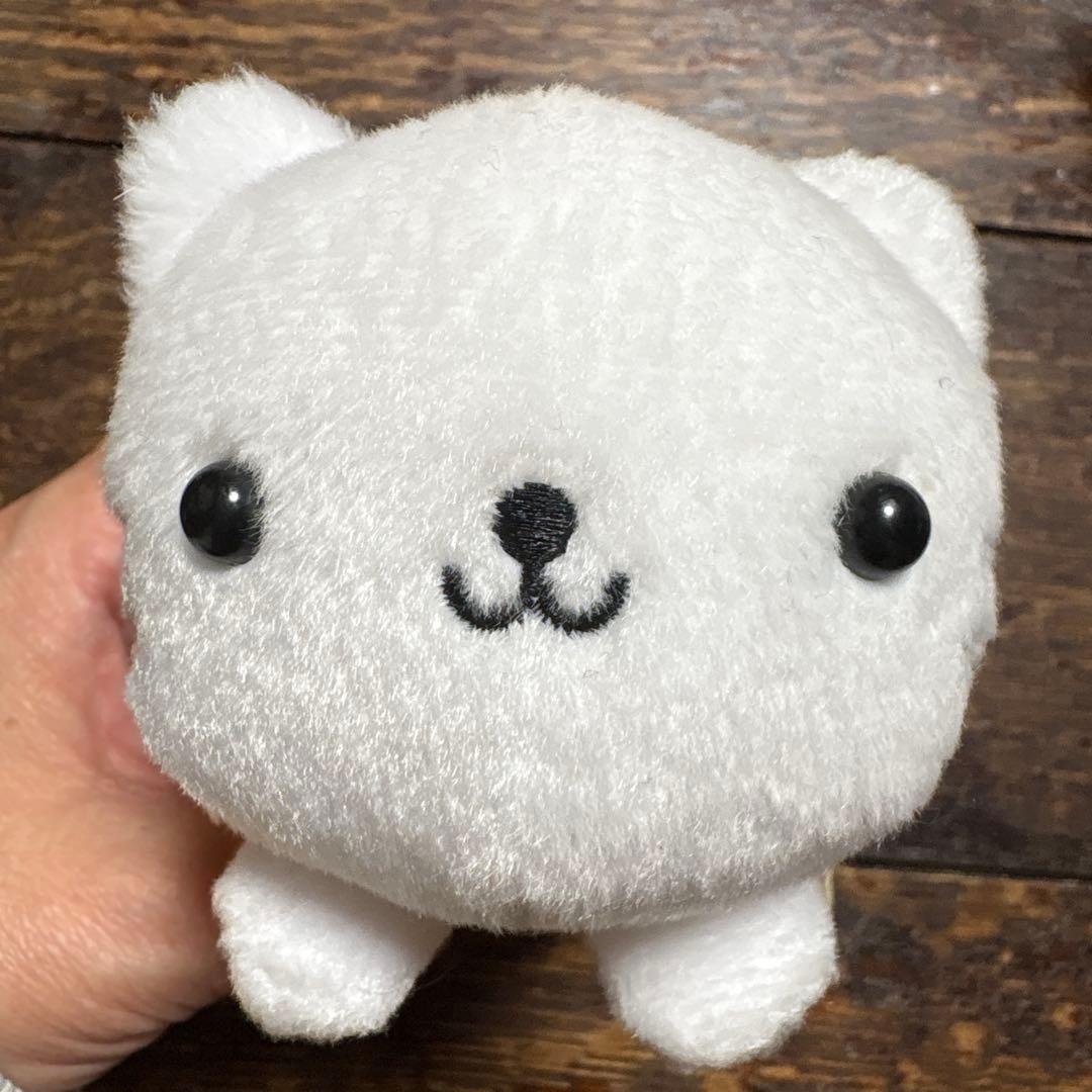 にゃんにゃんにゃんこ 大好きにゃんこランキングBEST5エビフにゃい ぬいぐるみ