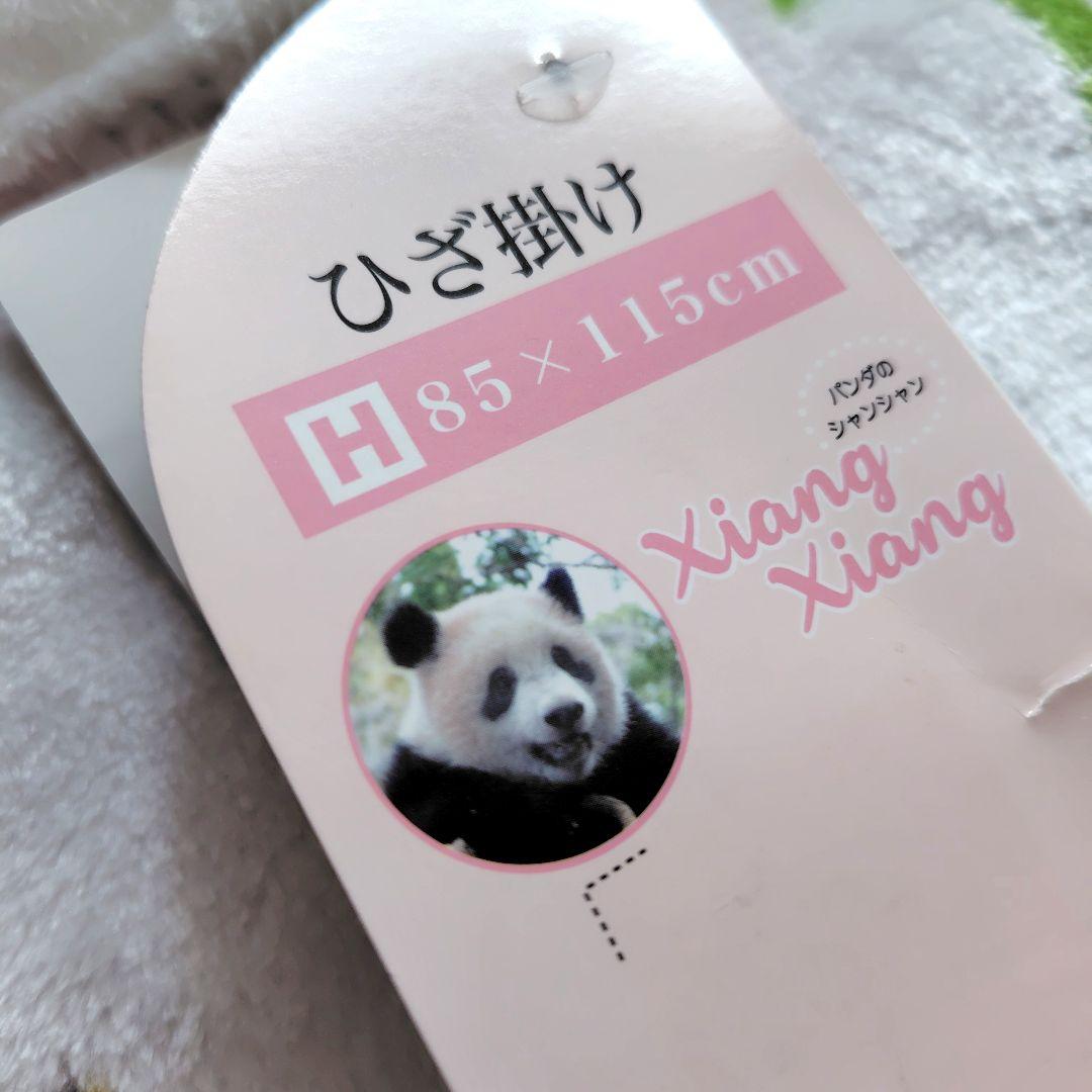 上野動物園 抱っこ シャンシャン パンダ ぬいぐるみ 32点セット