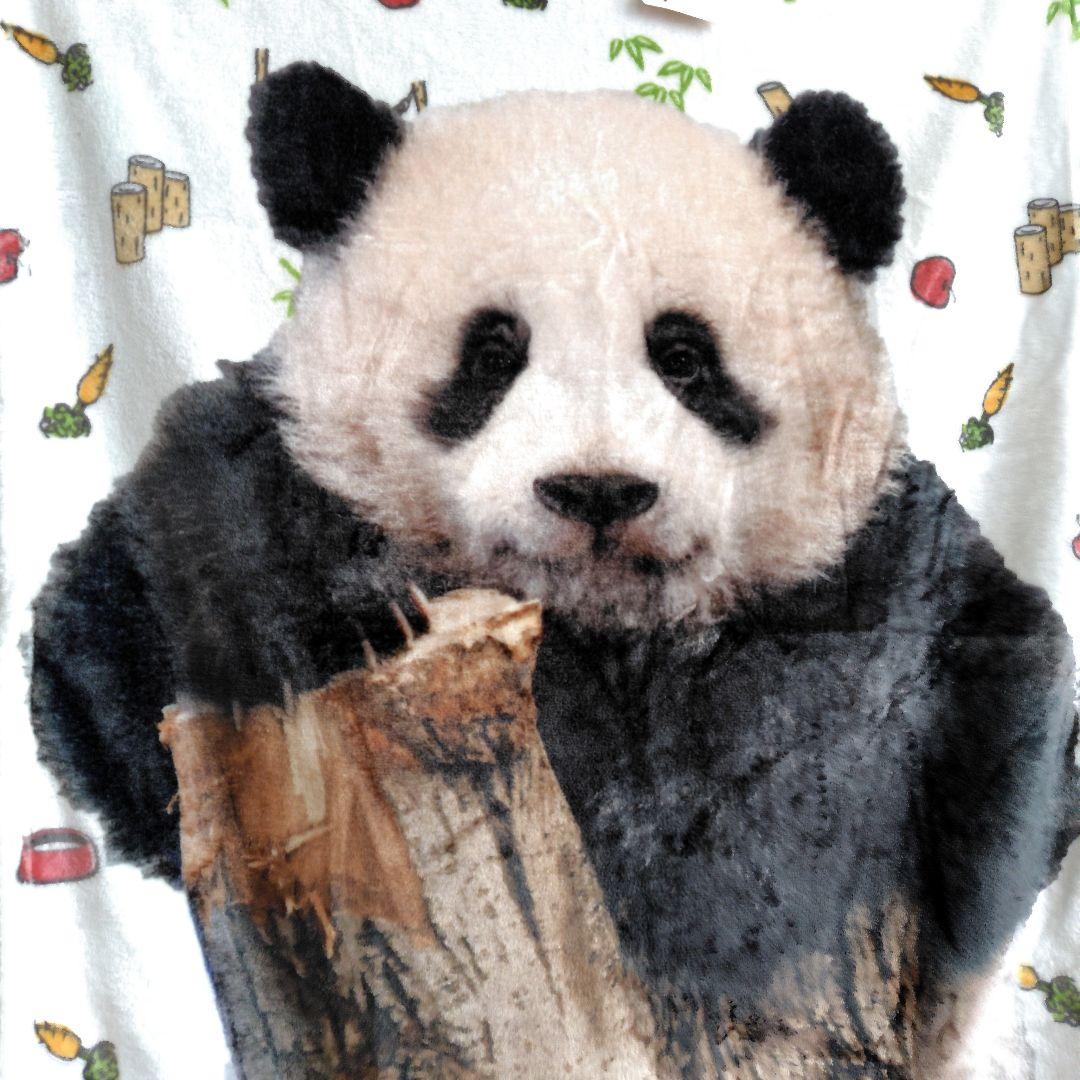 上野動物園 抱っこ シャンシャン パンダ ぬいぐるみ 32点セット