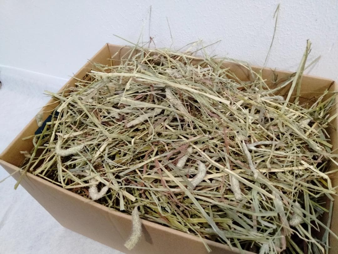 US産 チモシー 50kg ２番刈り ソフトSプレミアム