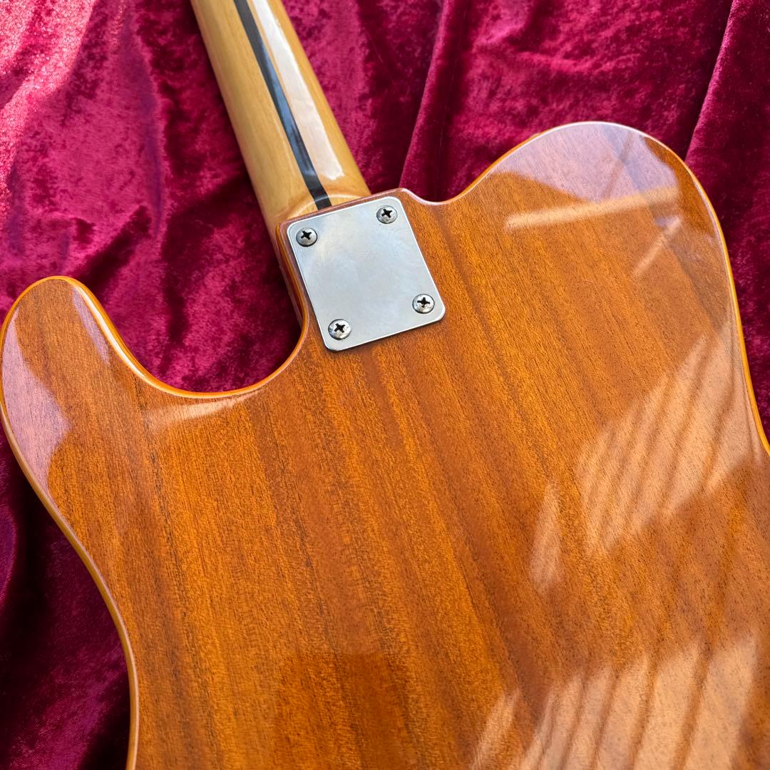 メンテ済 70s JV Franpton Telecaster Thinline