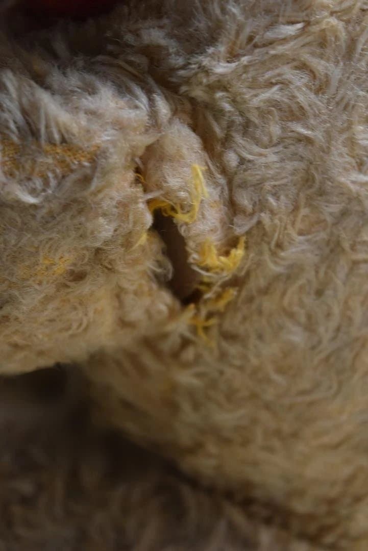 フランスアンティーク たくさん可愛がられたテディベア 熊ぬいぐるみ