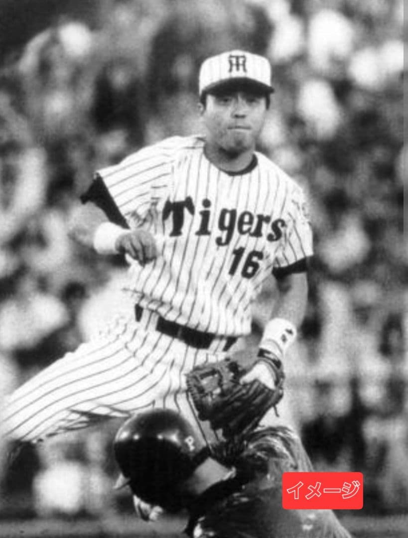 SSK プロフェッショナルモデル 阪神タイガース 岡田彰布刺繍入り