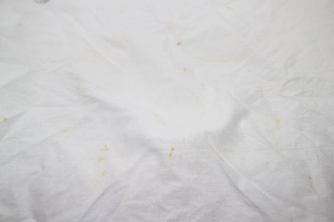 京焼 中村秋峰 乾山写柿絵 金彩 茶碗 茶道具 共箱 共布