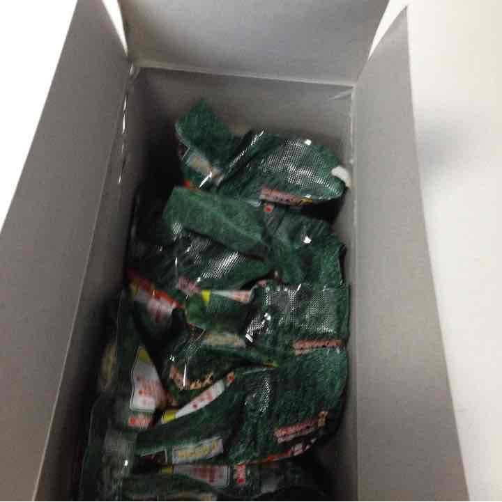 14- ゴジラ フィギュア