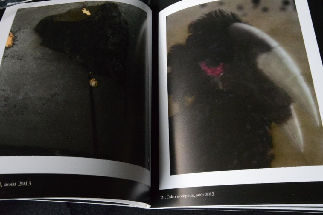 【Sarrah Moon：Alchimies 】サイン入り