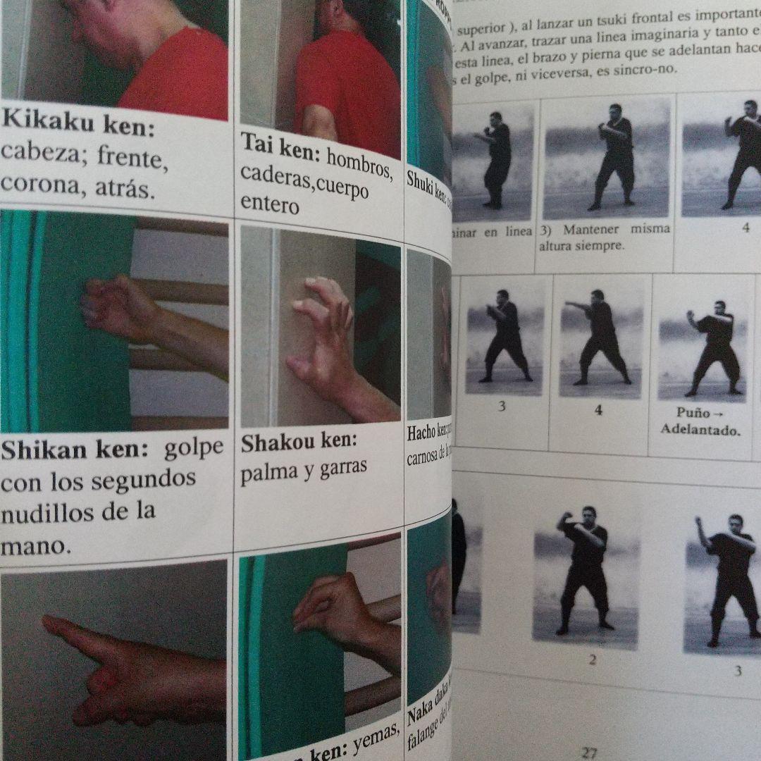 武神館　忍法体術基本技　ディスク付　古武道　武術　柔術　拳法　剣術