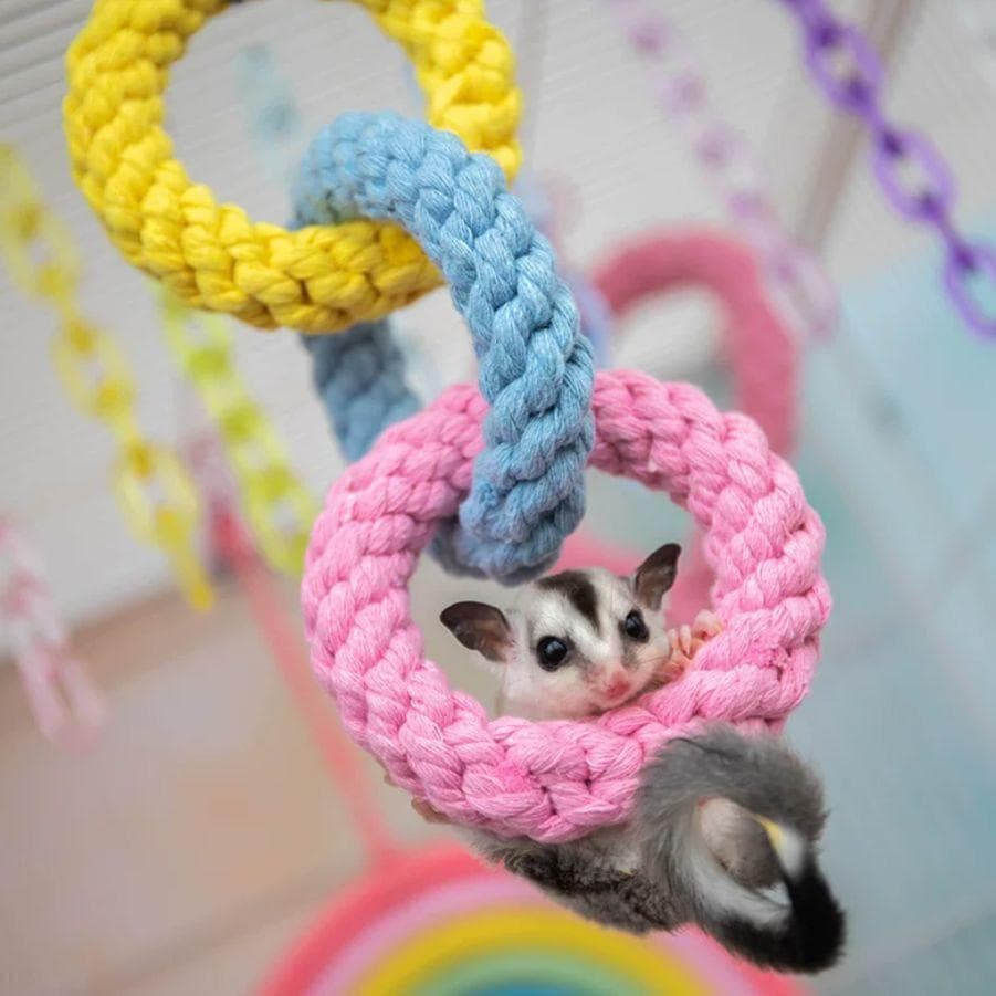 《ラスト１点》 アクリル ケージ 360度 小動物 鳥 モモンガ ドーナツ綱