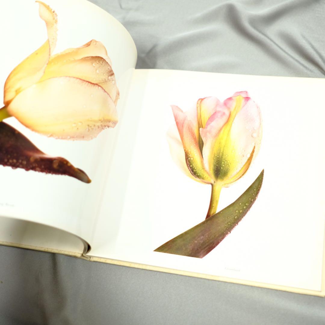 Irving Penn FLOWERS アーヴィング•ペン　写真集　洋書　初版