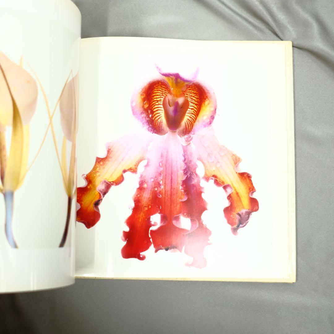 Irving Penn FLOWERS アーヴィング•ペン　写真集　洋書　初版