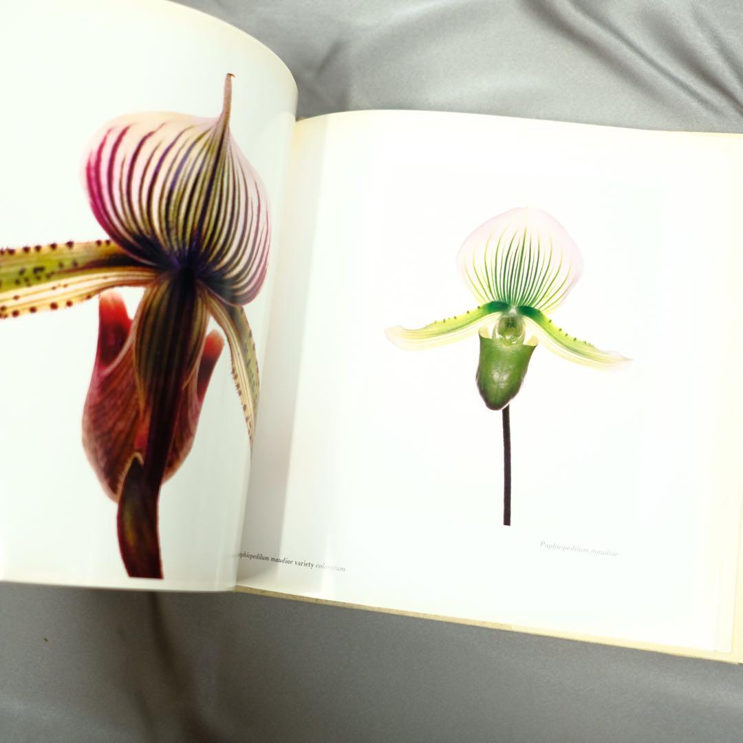 Irving Penn FLOWERS アーヴィング•ペン　写真集　洋書　初版