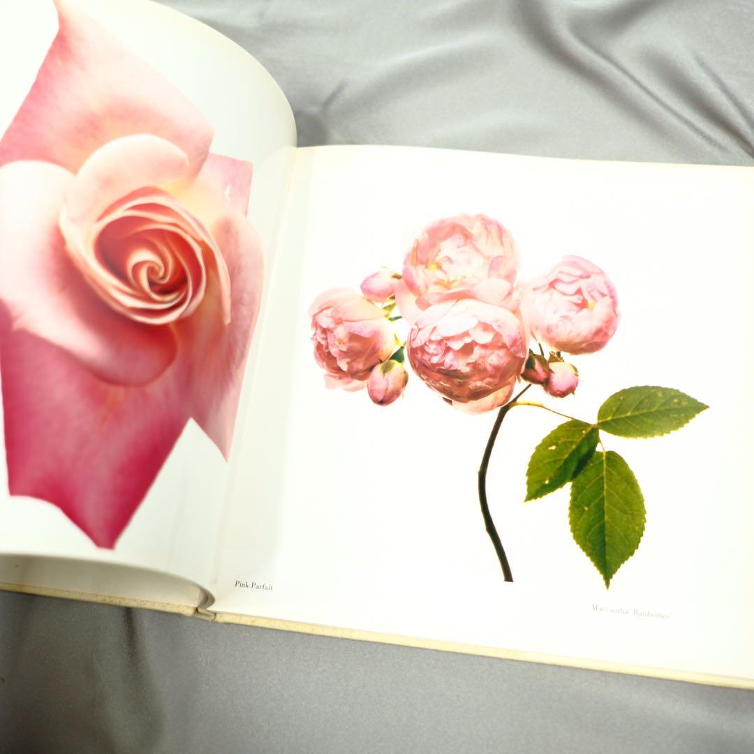 Irving Penn FLOWERS アーヴィング•ペン　写真集　洋書　初版