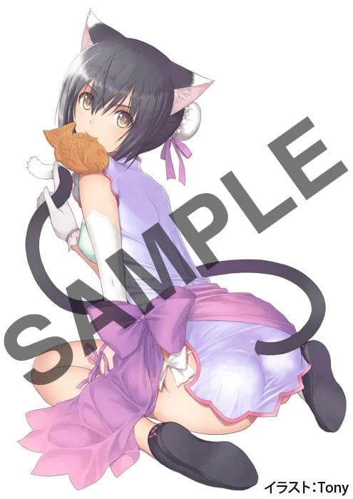 【新品未開封】コトブキヤ シャイニング・ハーツ いたずら怪盗 シャオメイ 1/6