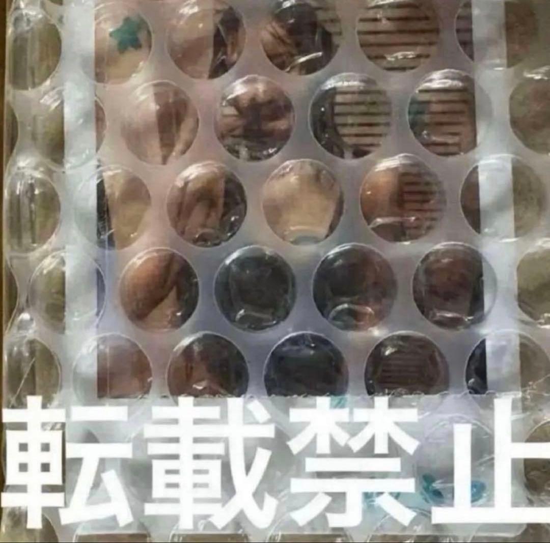 菜那セシル 直筆サイン入りチェキ 当選品 ガンガン ヤングジャンプ チャンピオン