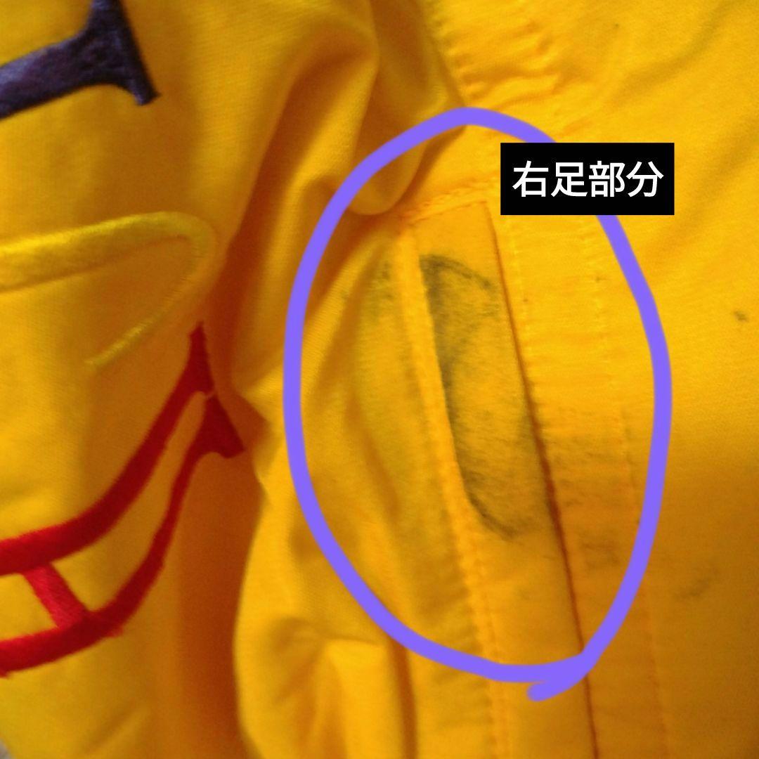 セノフィッチ　スキーウエア　女性用