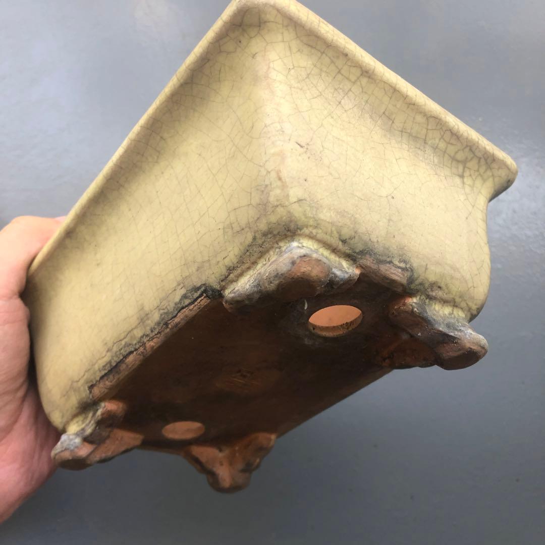 170.周寶山 黄釉雲足長方鉢 盆栽鉢 植木鉢 18*12.5*7.5cm