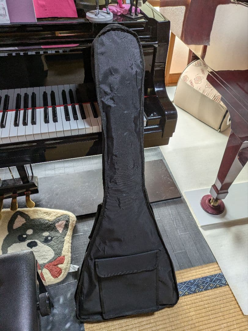 Photogenic エレキギター フライングV ブラック　フォトジェニック