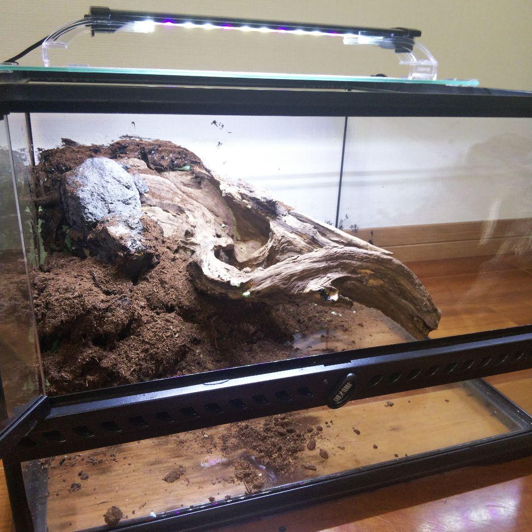 【受注生産】爬虫類飼育ケージ