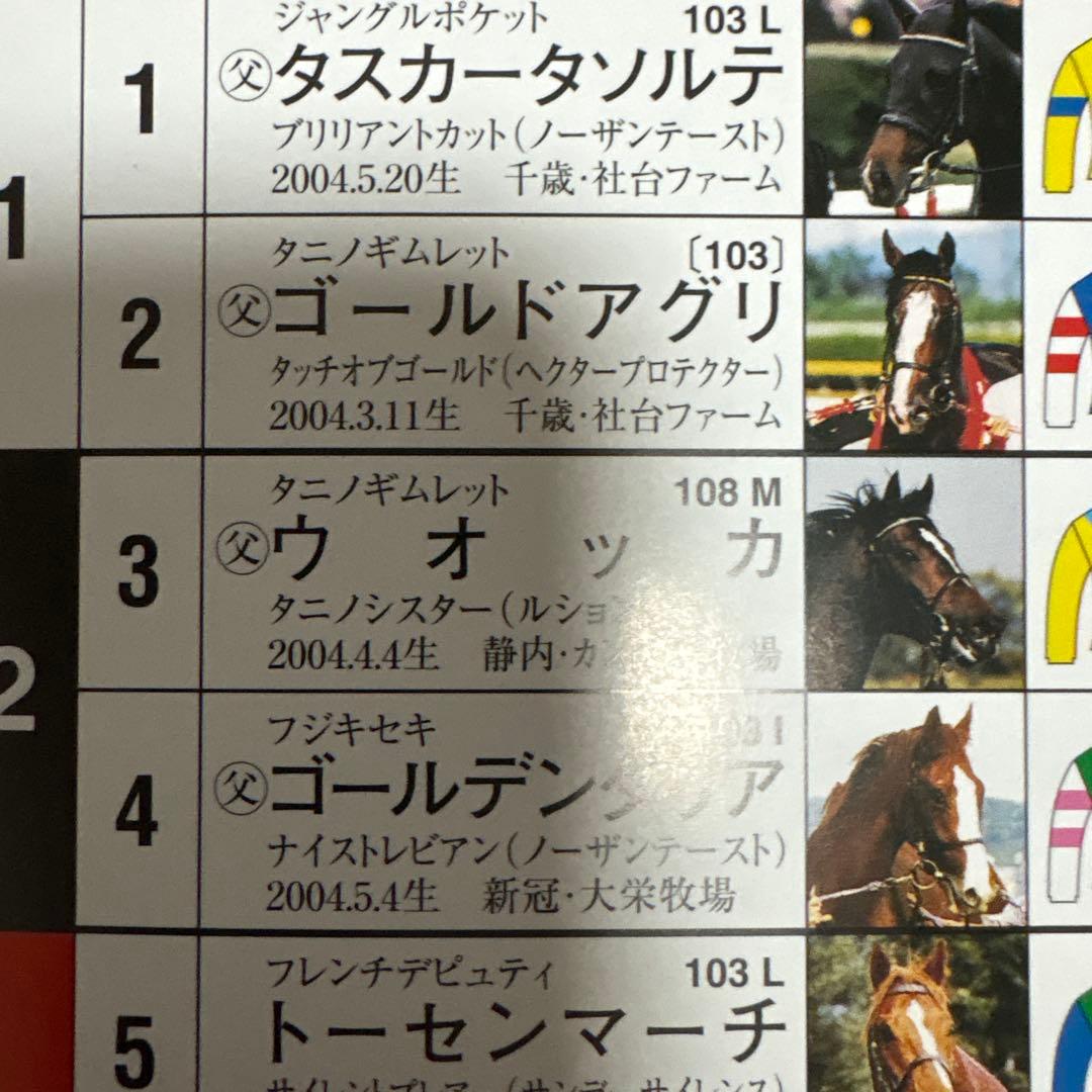 激レア JRA 東京優駿 日本ダービー 2007 ウオッカ 馬券セット
