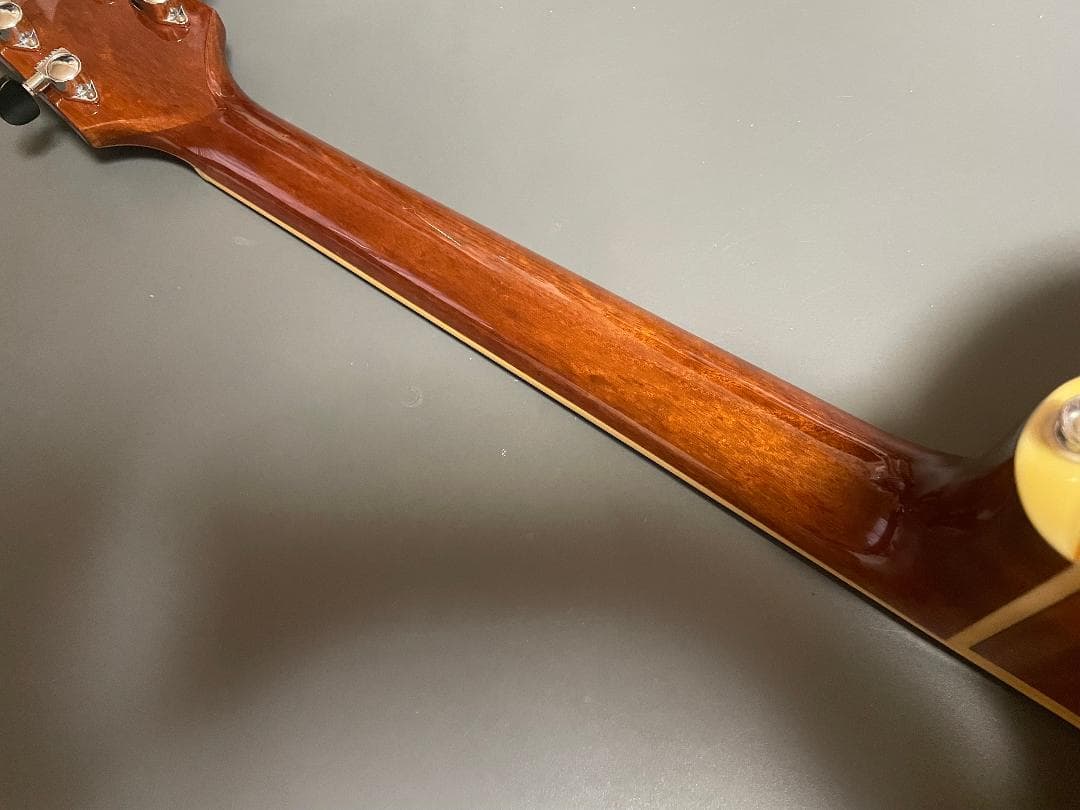 ギター Takamine Cooder TCP-560VB