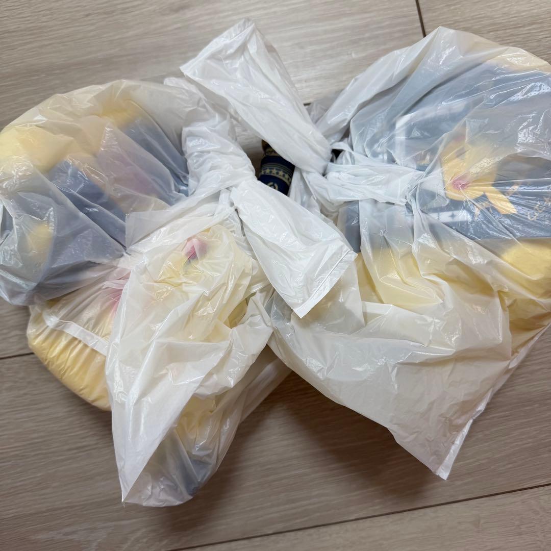 新品　ポケモン天文台 ほしぞらピカチュウ ぬいぐるみ 2点セット