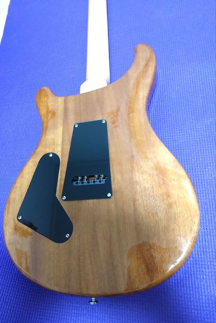 PRS custom24 SE グリーン ソフトケース付き