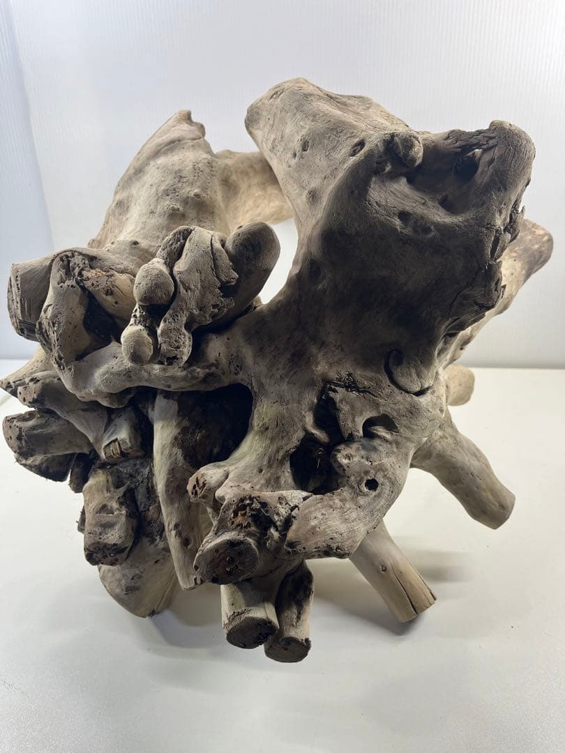 V64大型流木 アク抜き済み流木 爬虫類シェルター 登り木 インテリア 生け花