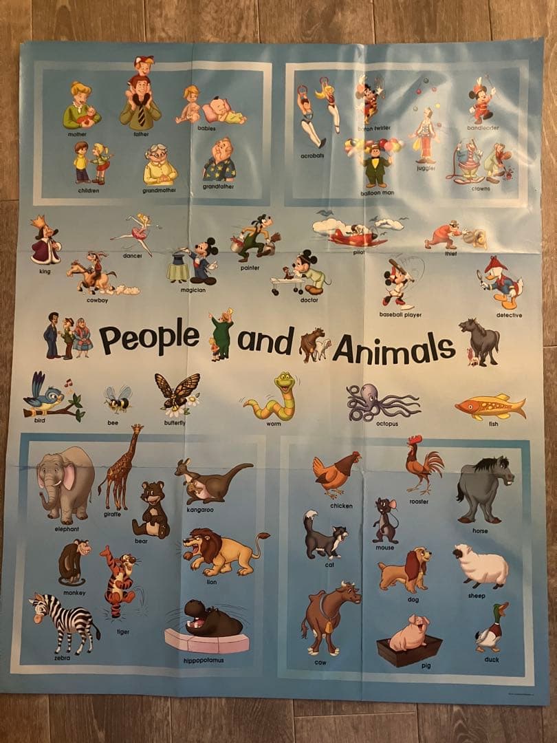 【良品】ディズニー英語システム DWE シングアロング セット CD