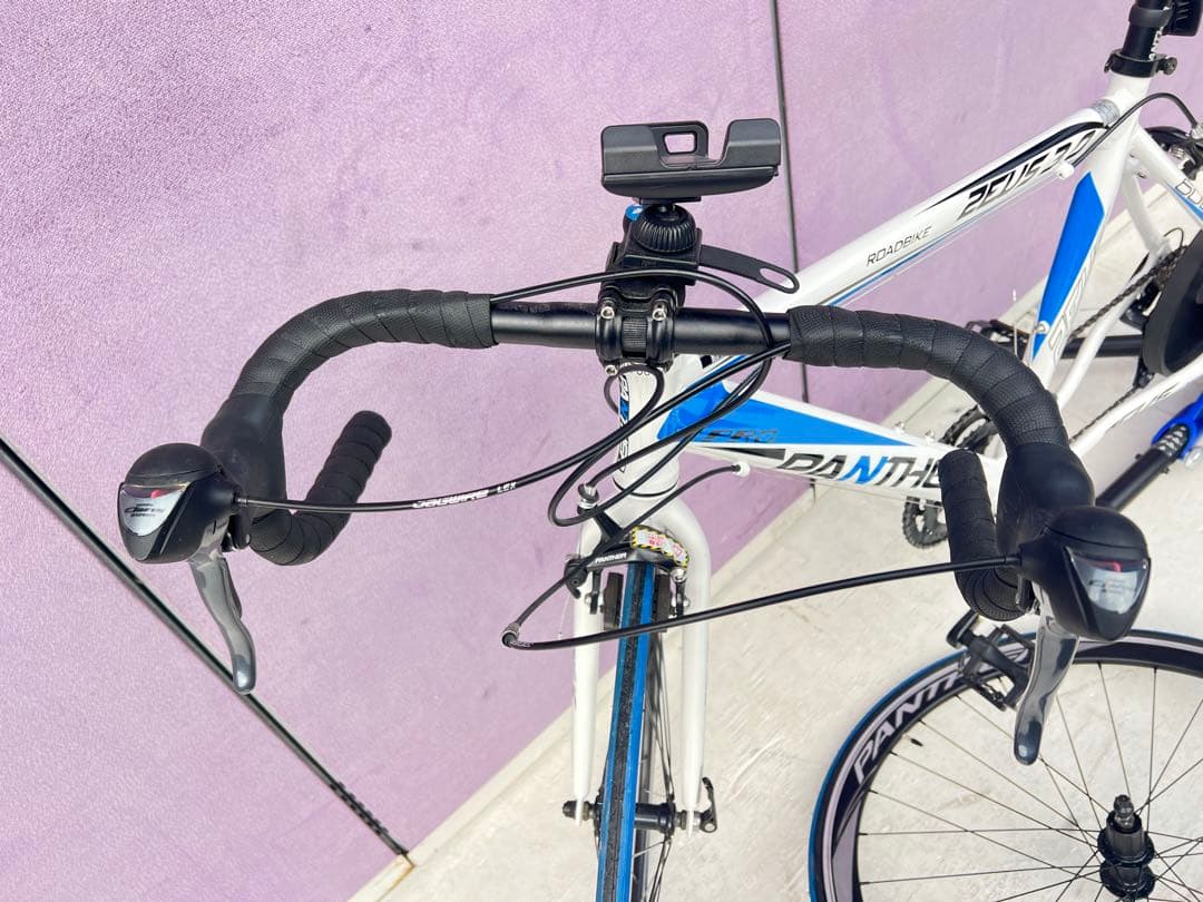 Wahoo KICKR SNAP 屋内バイクトレーナーPANTHER Zeus