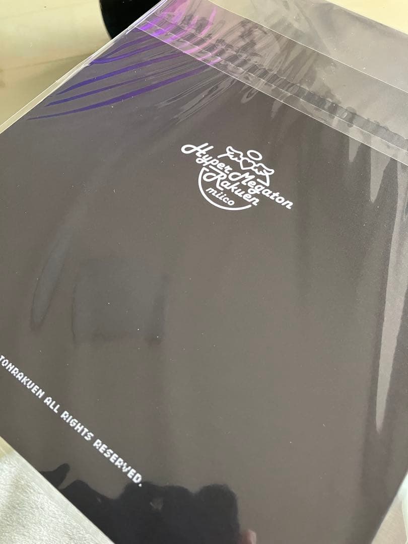 ハイパーメガトンラクエン　ナルメア　みぃこ　コスプレ写真集　サイン付き